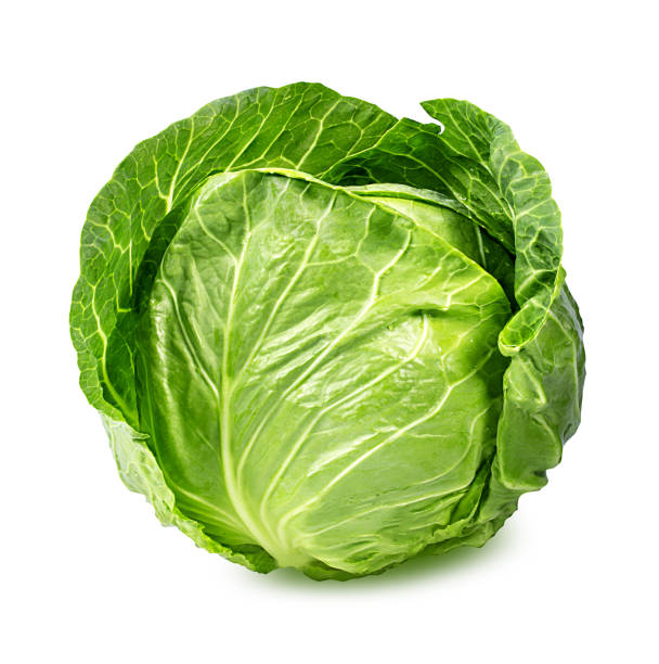 白に分離された緑のキャベツ - head cabbage ストックフォトと画像