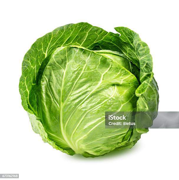 Green Cabbage Isolated On White Stock Photo - Download Image Now - Cabbage, White Background, Cut Out