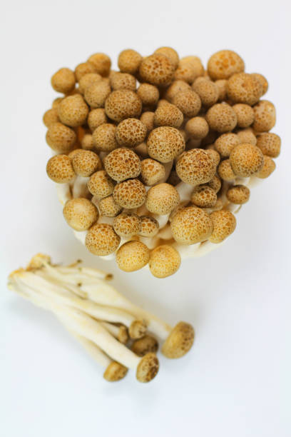 istock Top View of Shimeji Mushrooms 673162236