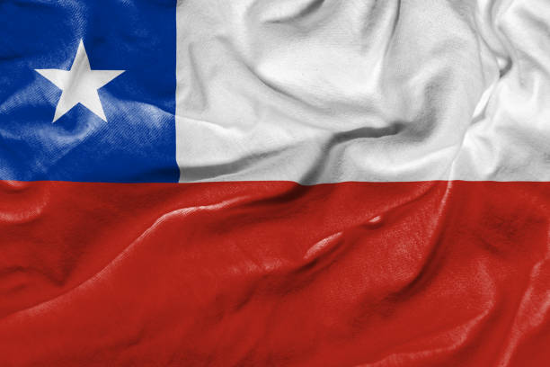istock Waving Flag of Chile 673168838