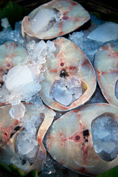istock Fresh fish in ice on the market 673179376