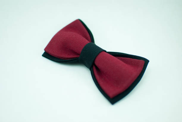 istock Well-designed stylish red-black bow tie made of soft cloth 673187134