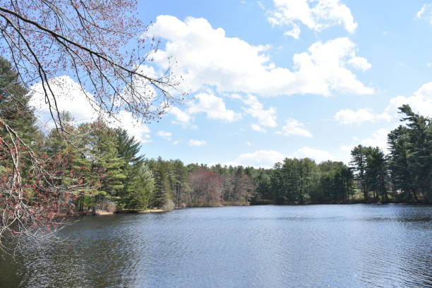 istock Dawn of spring beside mountain lake in forest 673189658
