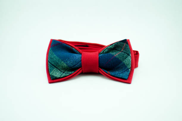 istock Stylish and well-designed red-blue bow-tie on a white background; isolated 673189754