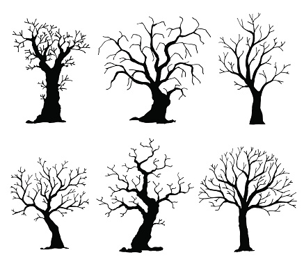 Collection of trees silhouettes. Vector tree isolated on white background.