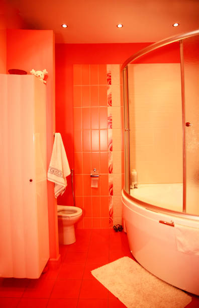 istock Modern design interior of red bathroom 673192460