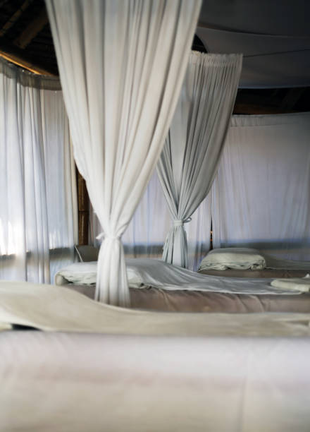 istock spa treatment room at tropical hotel 673192876