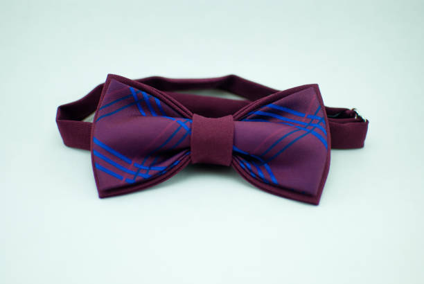 istock Well-designed stylish violet-blue bow tie made of soft cloth 673195950