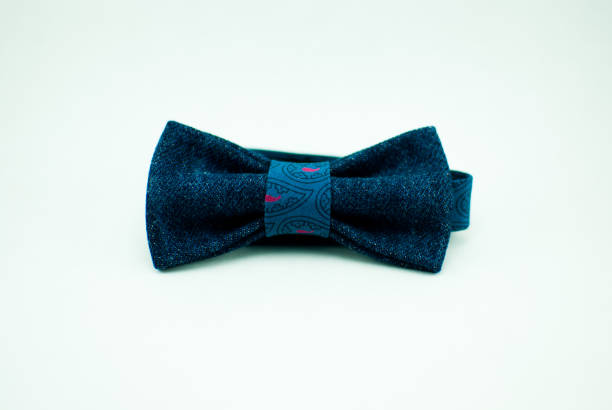 istock Stylish and well-designed blue bow-tie on a white background; isolated 673196420