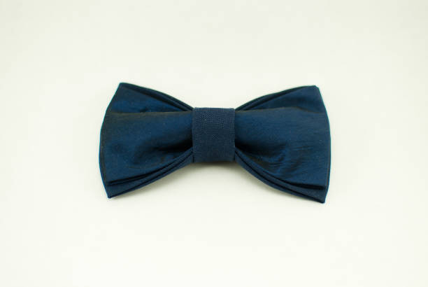 istock Well-designed stylish dark-blue bow tie made of soft cloth 673196456