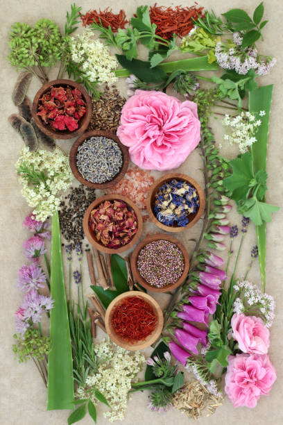 istock Natural Herbal  Medicine 673205860