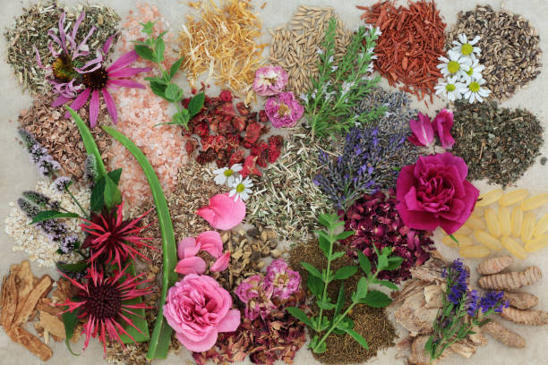 istock Herbal Medicine for Healing Skin Disorders 673205982