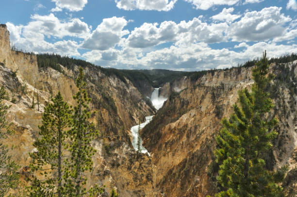 istock Yellowstone National Park Lower Falls from Artist's Point 673220318