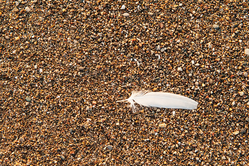 A white feather on a pebble beach