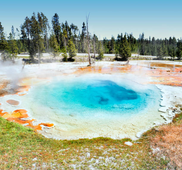 istock Silex Spring Geyser, Yellowstone National Park 673230216
