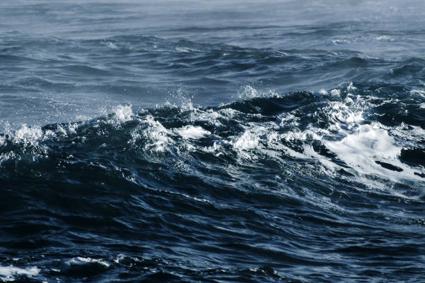 istock Big stormy ocean wave. Blue water background 673237836