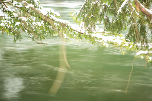 Close-up of a pine tree covered in snow and a river passing reflecting the green color of the forest. The long exposure shows the blur motion of the water