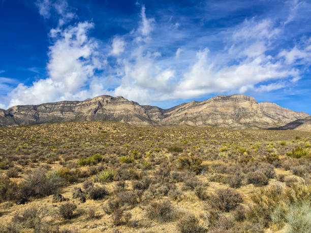 istock Red rock canyon near Las Vegas 673247806