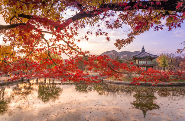 istock Autumn Of Seoul 673265780