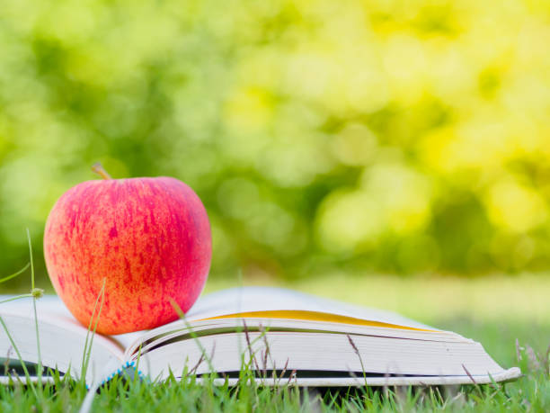 istock World Book Day concept. Red apple and pen put on open book 673266372