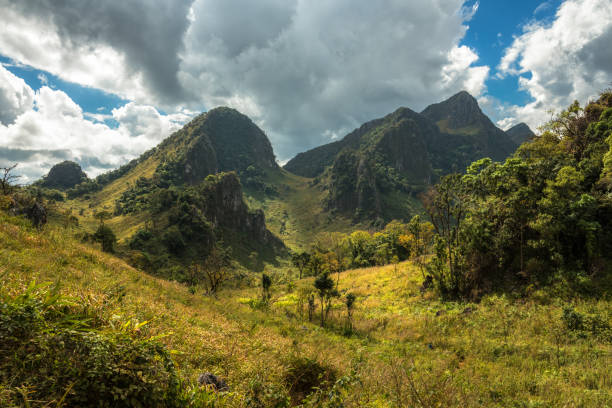 istock Green forest at Chiangdao mountain,Chiangmai Thailand 673272500