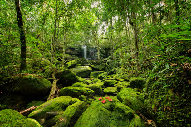 istock Wonderful green landscape with green moss and waterfall 673275426