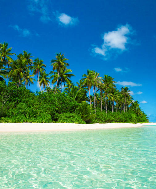 istock tropical beach in Maldives 673286260