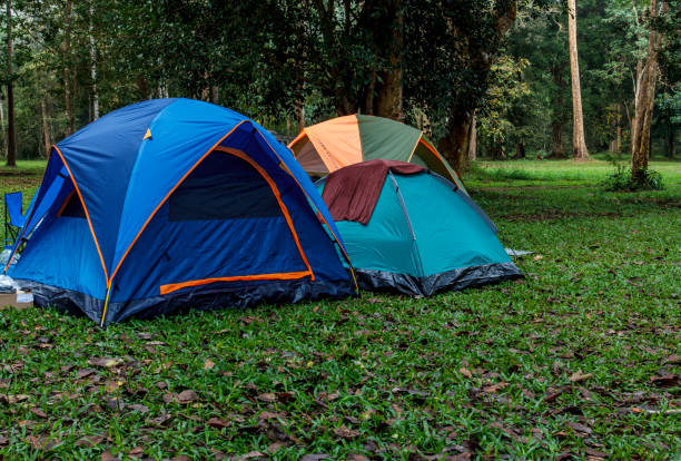 istock Camping Tent National Park 673286268