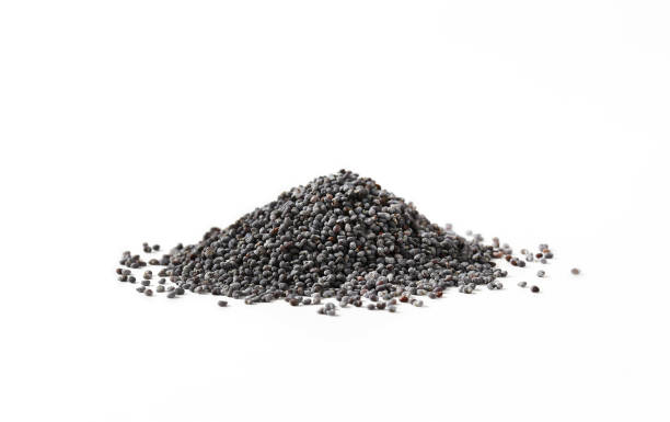 ensemble noirs graines de pavot - poppy seed photos photos et images de collection