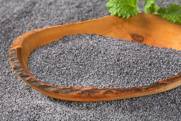 istock Whole black poppy seeds 673298582