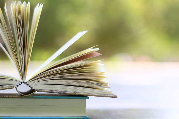 istock open the book in beauty nature bokeh 673305036