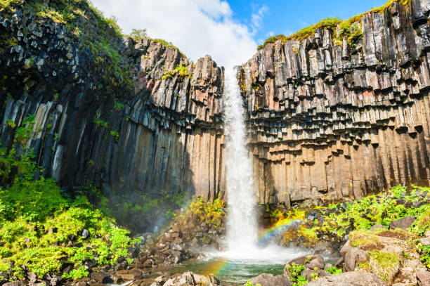 istock Svartifoss waterfall in Skaftafell national park, Iceland. 673307276