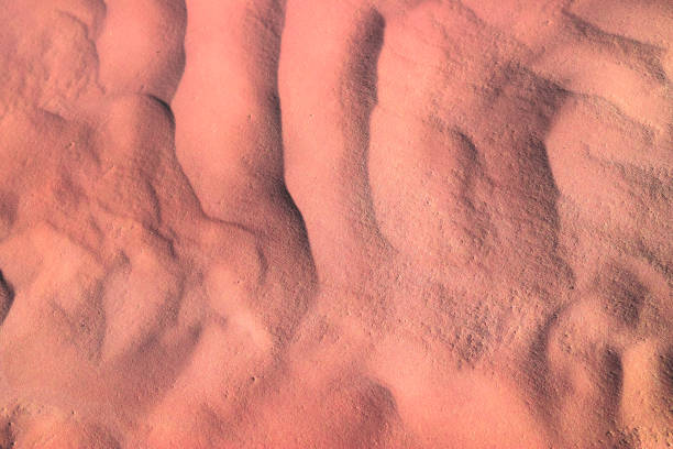 istock Authentic desert under the hot sun. Landscape of Sahara 673307650