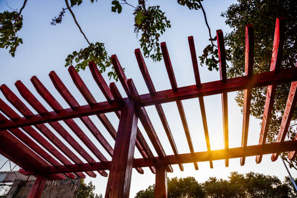 istock Low Angle View Of Wooden Ceiling Against Tree At Park 673307760