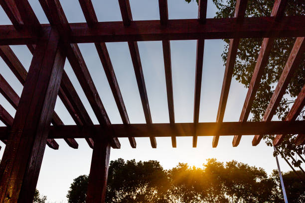 Low Angle View Of Wooden Ceiling Against Tree At Park