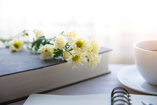 Cup with a flowers on book