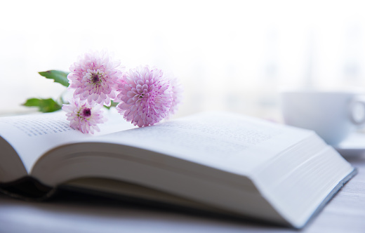 flower on book