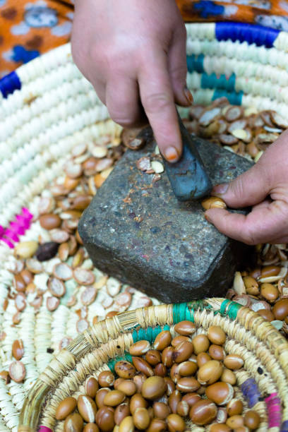 istock Hard working Arabic woman splitting argan nuts using stones on woven handmade basket 673317380