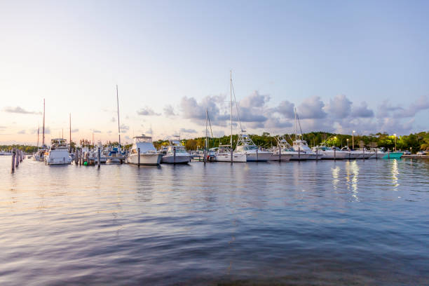 Marina in Coral Gables, Miami