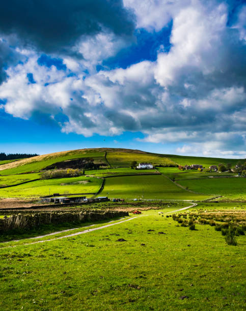 stunning view at pendle hill area - pendle imagens e fotografias de stock