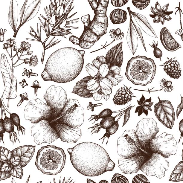 ilustraciones, imágenes clip art, dibujos animados e iconos de stock de fondo de té vectorial - herb seasoning spice old fashioned