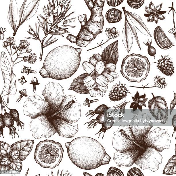 Vector Tea Background Stock Illustration - Download Image Now - Fruit, Illustration, Ginger - Spice