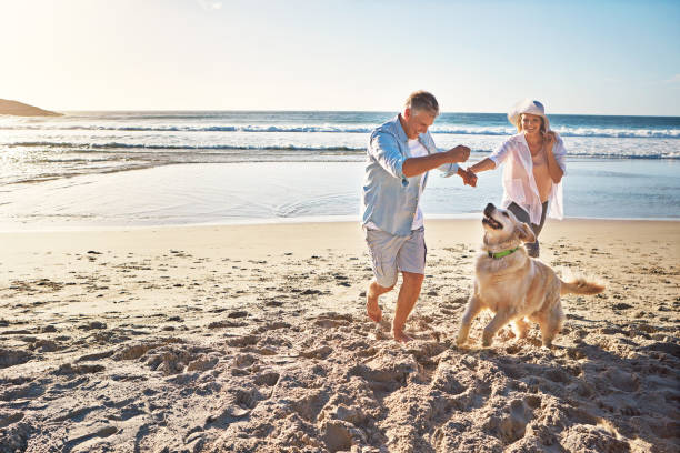 The joy of romping on a sandy beach! Shot of a mature couple spending the day at the beach with their dog mature couple stock pictures, royalty-free photos & images