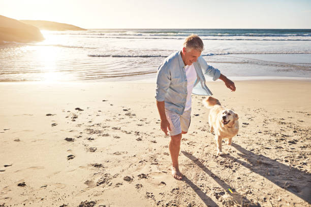 istock Let them off the leash and run free 673344154