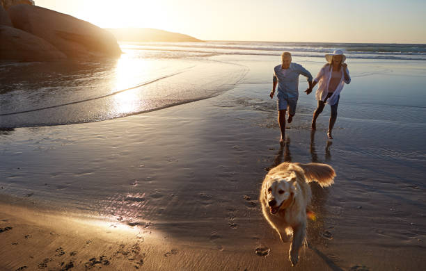istock Making the most of the activity 673344354