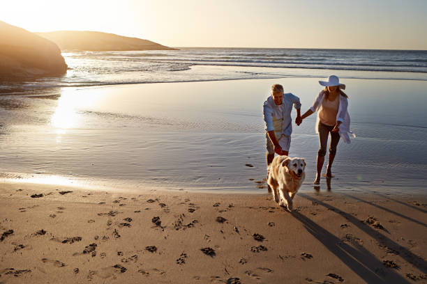 istock Go somewhere where the land meets the sea 673344356