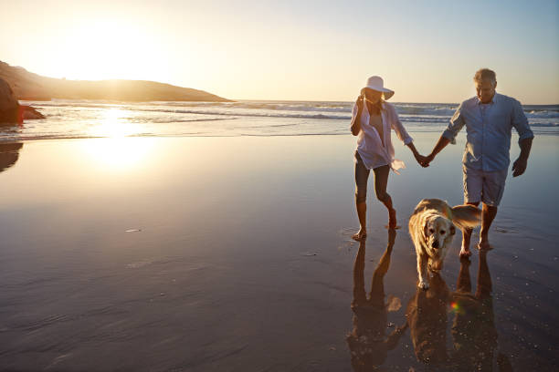 istock Throw me to the humans and I'll come back leading them 673344372