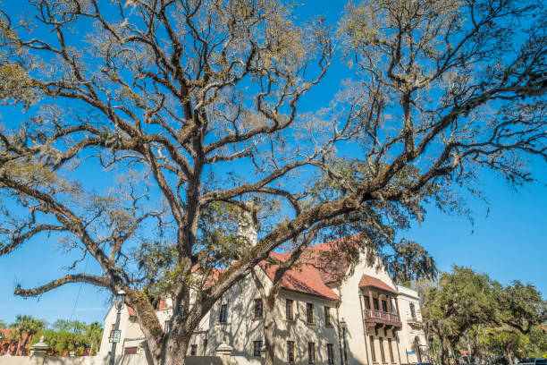 istock Cathedral Basilica of St. Augustine, Florida, USA 673347548