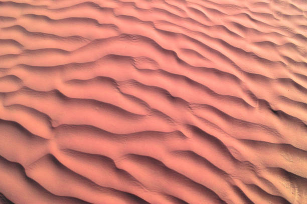 Authentic desert under the hot sun. Landscape of Sahara