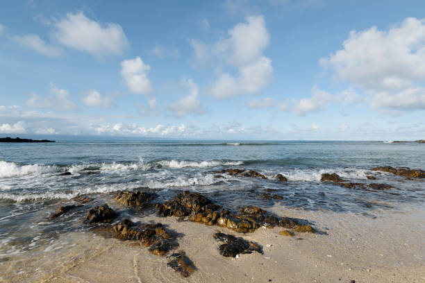 playa rocosa en el trópico - baler fotografías e imágenes de stock